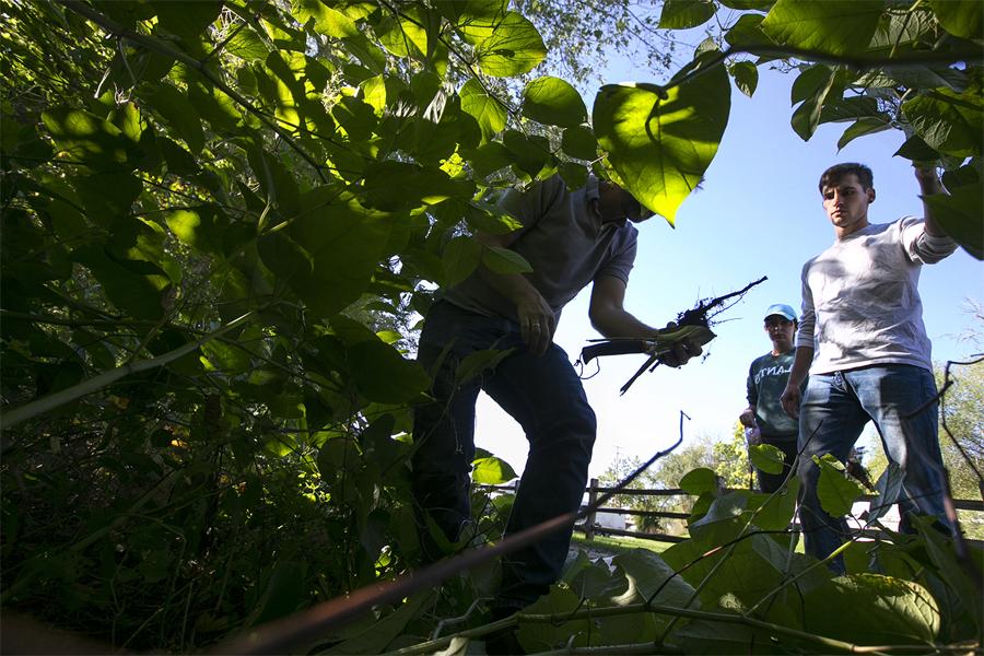 People explore in the woods.